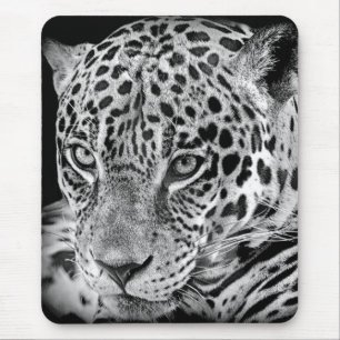 Exotic Jaguar Muismat