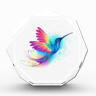 Exotic Rainbow Hummingbird Fotoblokken