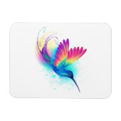Exotic Rainbow Hummingbird Magneet (Horizontaal)