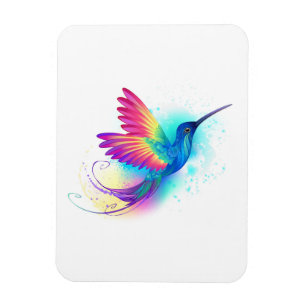 Exotic Rainbow Hummingbird Magneet