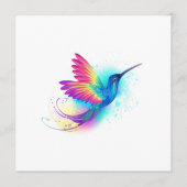 Exotic Rainbow Hummingbird Programma (Voorkant)