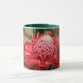 Exotic red torch ginger flower cup! mok (Midden)