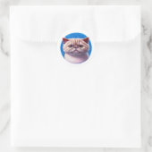 Exotic Shorthair Cat Ronde Sticker (Tas)