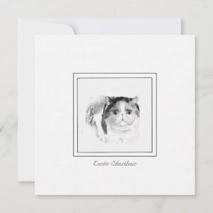 Exotic Shorthair Cat Sketch in Chalk & Charcoal Notitiekaartje