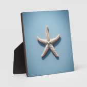 Exotic Starfish with Blue Background Fotoplaat (Voorkant)