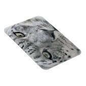 Exotic White Snow Leopard Magneet (Rechterzijde)