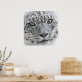 Exotic White Snow Leopard Poster (Keuken)