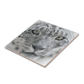 Exotic White Snow Leopard Tegeltje (Zijkant)