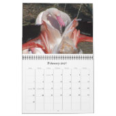 Exotic Wonders 2012 Kalender (Feb 2027)