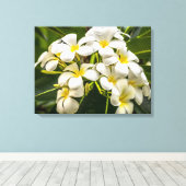 Exotisch eiland Plumeria verpakt Canvas Print (Insitu (Houten vloer))
