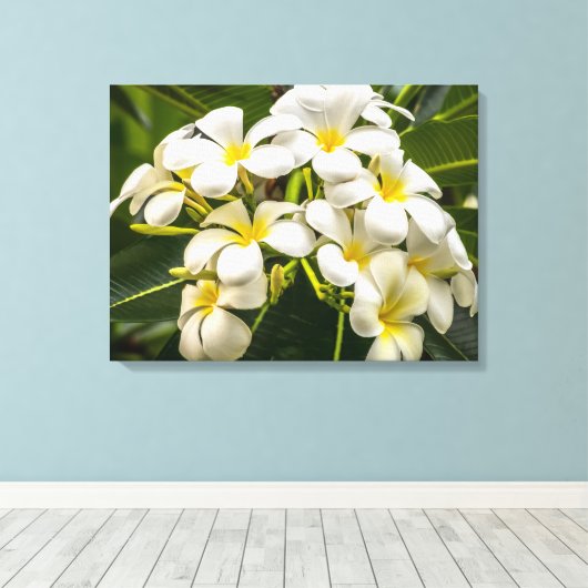 Exotisch eiland Plumeria verpakt Canvas Print (Insitu (Houten vloer))
