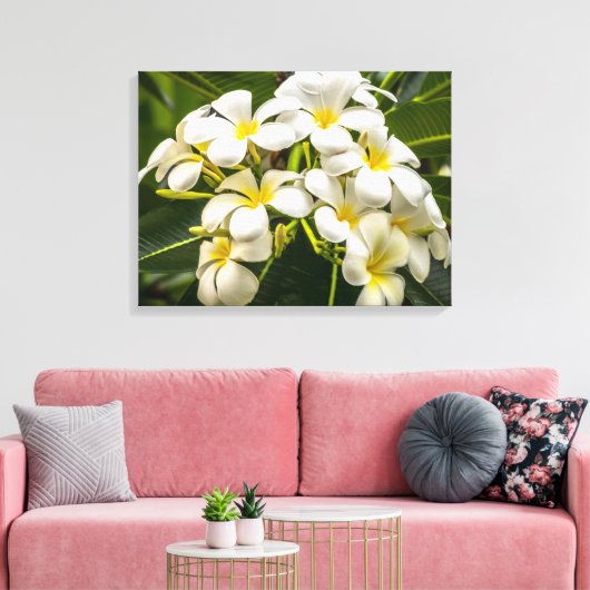 Exotisch eiland Plumeria verpakt Canvas Print (Insitu (Woonkamer))