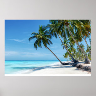 Exotisch Palm Beach Turquoise Water Zonnig Paradij Poster