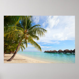 Exotisch resort poster