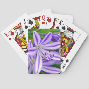 Exotische Afrikaanse Lelie Pokerkaarten