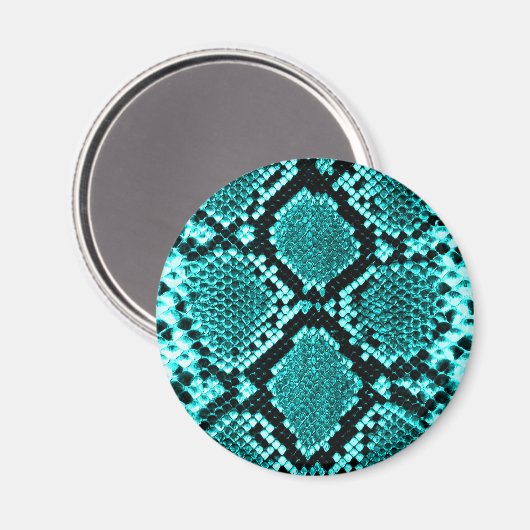 Exotische Aqua Diamant Ratelslang Huid Dierenprint Magneet (Voorkant / Achterkant)