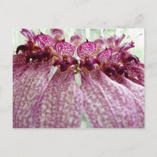 exotische bloem briefkaart