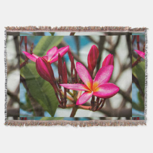 Exotische bloemachtergrond-plumerie-bloemen deken