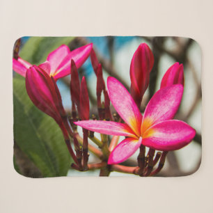 Exotische bloemachtergrond-plumerie-bloemen sherpa deken