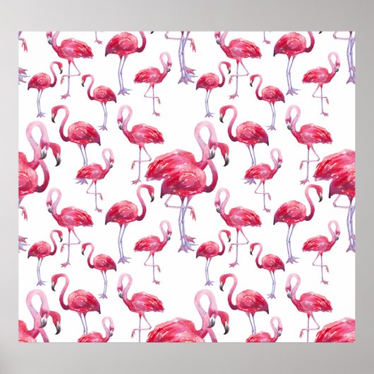 Exotische Flamingo Waterverf Bird Poster (Voorkant)