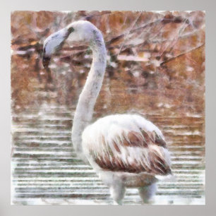 Exotische flamingo-Waterverf Poster
