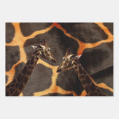 Exotische Giraffes, schitterende omloopset Inpakpapier Vel (Voorkant 3)