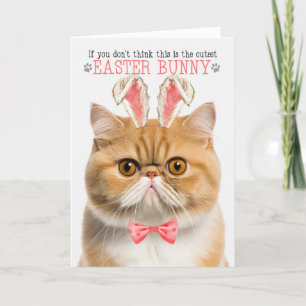 Exotische Korthaar Sinaasappel Kat Konijnenoren vo Feestdagen Kaart