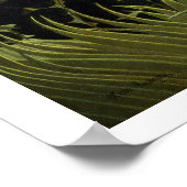 Exotische landschappen poster (Hoek)