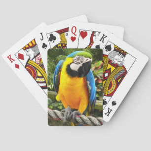 Exotische Macaw Parrot-spelkaarten Pokerkaarten