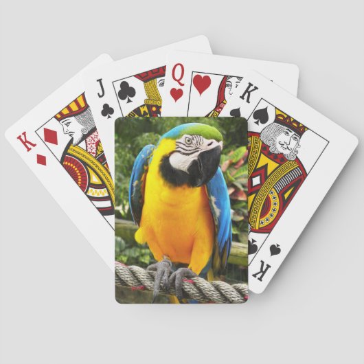 Exotische Macaw Parrot-spelkaarten Pokerkaarten (Achterkant)