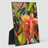 Exotische oranje bloem fotoplaat (Zijkant)