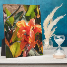 Exotische oranje bloem