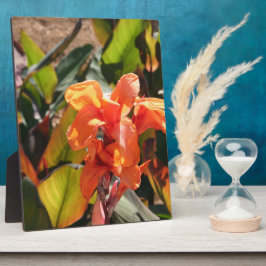 Exotische oranje bloem fotoplaat