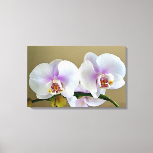 Exotische orchidee foto op Canvas Art (Voorkant)