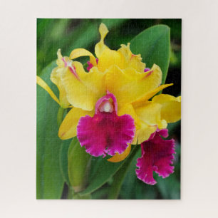 Exotische orchidee in gele en hete roze kleuren legpuzzel