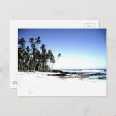 Exotische palmbomen en strand van Paradise Briefkaart (Voorkant / Achterkant)