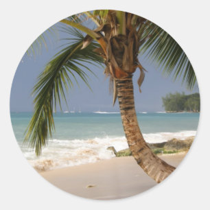 exotische palmboom op het strand ronde sticker