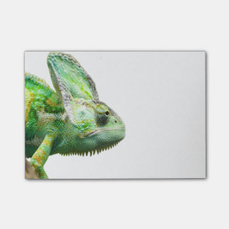 Exotische reptiel post-it® notes