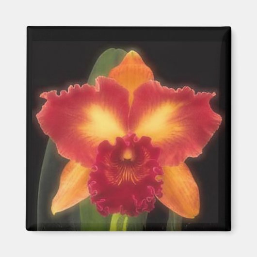 Exotische schoonheidsmagneet magneet (Voorkant)