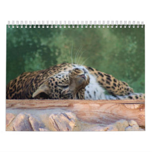 EXOTISCHE VELINEBROEDINGSAMENSTELLING KALENDER