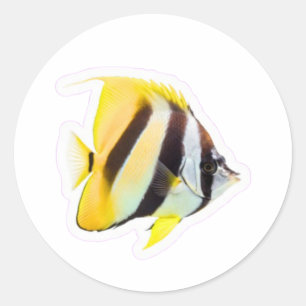 Exotische Vlinder Vis - Levendige Koraalrif Schoon Ronde Sticker