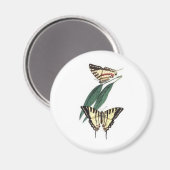 Exotische Vogelkoelkast Magneet (Voorkant / Achterkant)