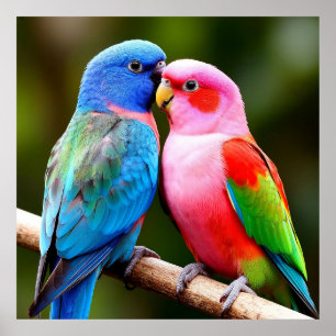 Exotische Vogels ✨Bij elkaar neergestreken Gesche Poster