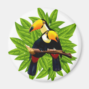 Exotische vogels magneet