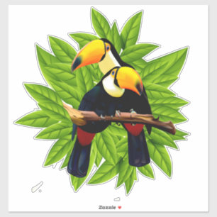 Exotische vogels sticker