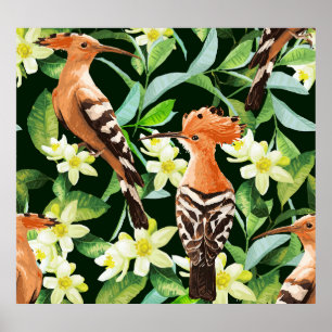 Exotische vogels: tropische print