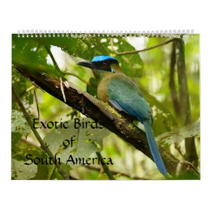 Exotische vogels van de Zuid-Amerikaanse kalender 
