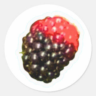 Exotische Wilde Braamsticker, Rijpende Tropische Ronde Sticker
