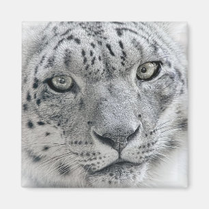 Exotische witte sneeuwpopfoto magneet
