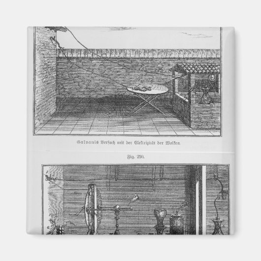 Experiment van Louis Galvani op kikkers Magneet (Voorkant)